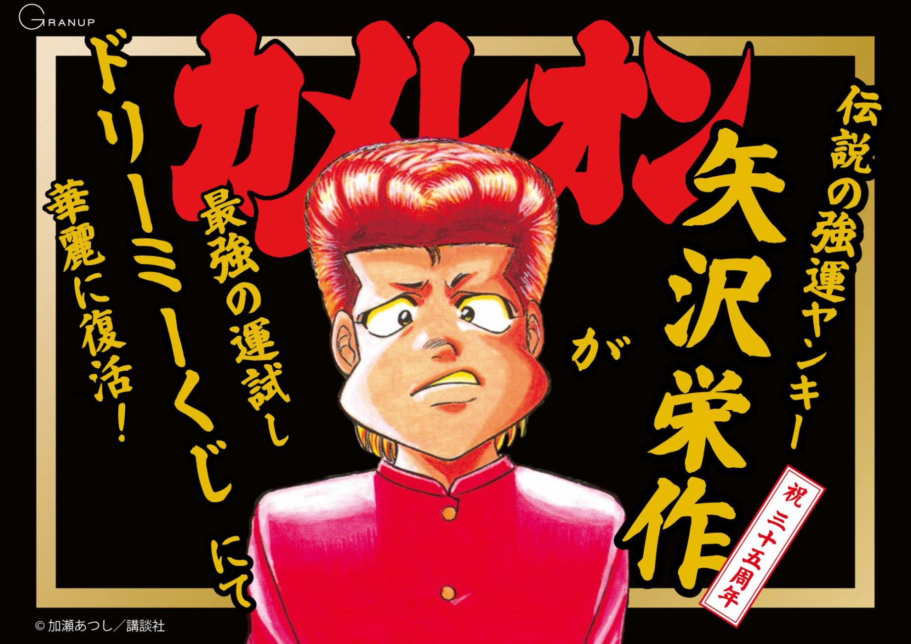 ドリーミーくじ カメレオン - 株式会社GRANUP